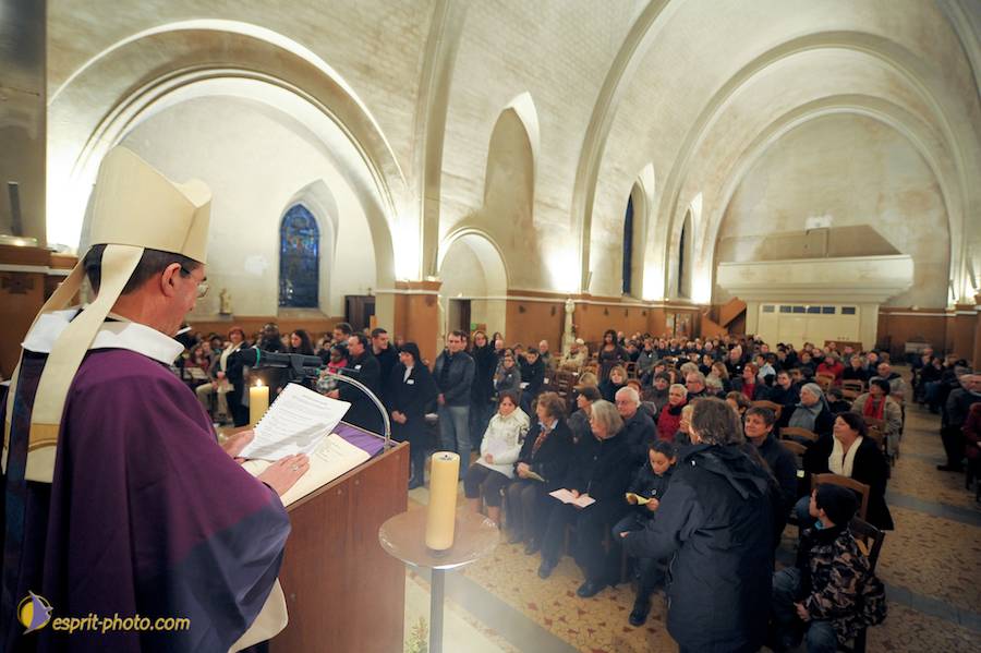 Nom de l'image : D30094946_1_(c)Norbert-JUNG — Description :